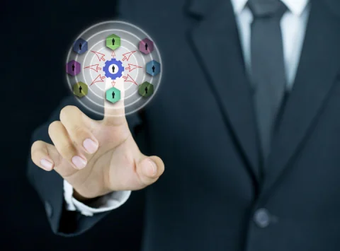 Multi-Section Expertise