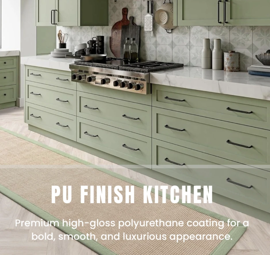 PU FINISH KITCHEN